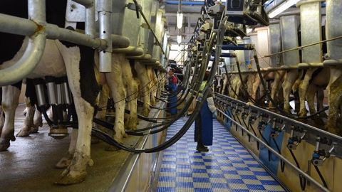 Le prix payé aux producteurs de lait conventionnel était de 33,99 ct/kg en juillet 2019 (©Terre-net Média)<span style="font-size: 14px; text-align: justify; color: #000000;"> Le prix payé aux producteurs de lait conventionnel était de 33,99 ct/kg en juillet 2019 (©Terre-net Média)<span style="font-size: 14px; text-align: justify; color: #000000;">
