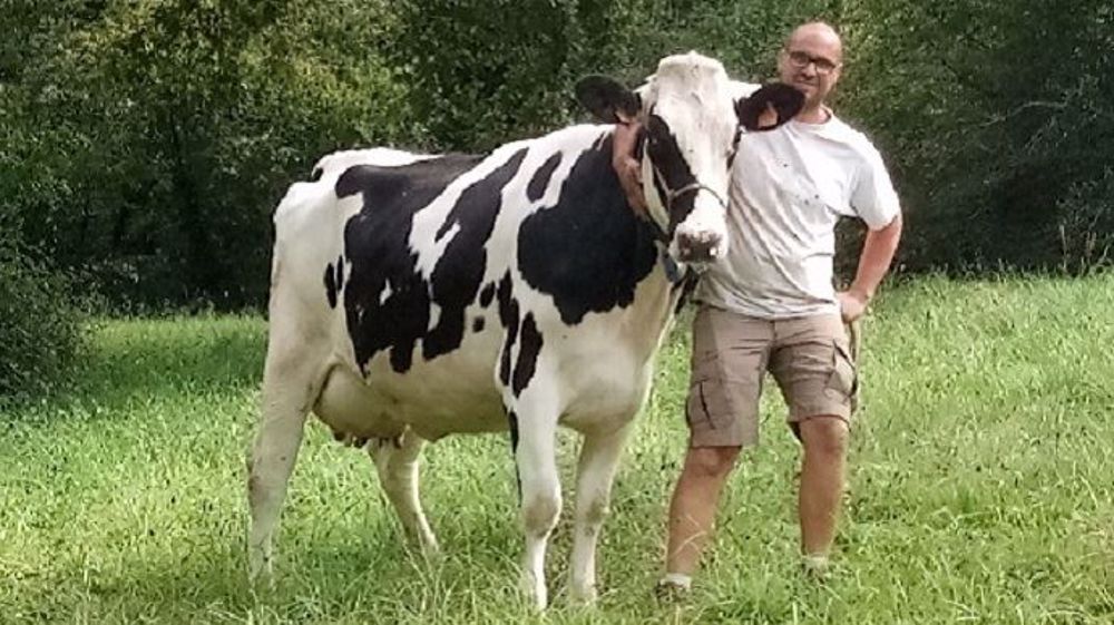 Gilles Baradat élève 130 vaches laitières dans le Béarn avec son associé Loïc. (©SCEA de la Marlère)