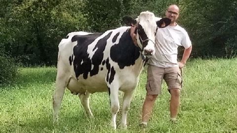 Gilles Baradat élève 130 vaches laitières dans le Béarn avec son associé Loïc. (©SCEA de la Marlère)