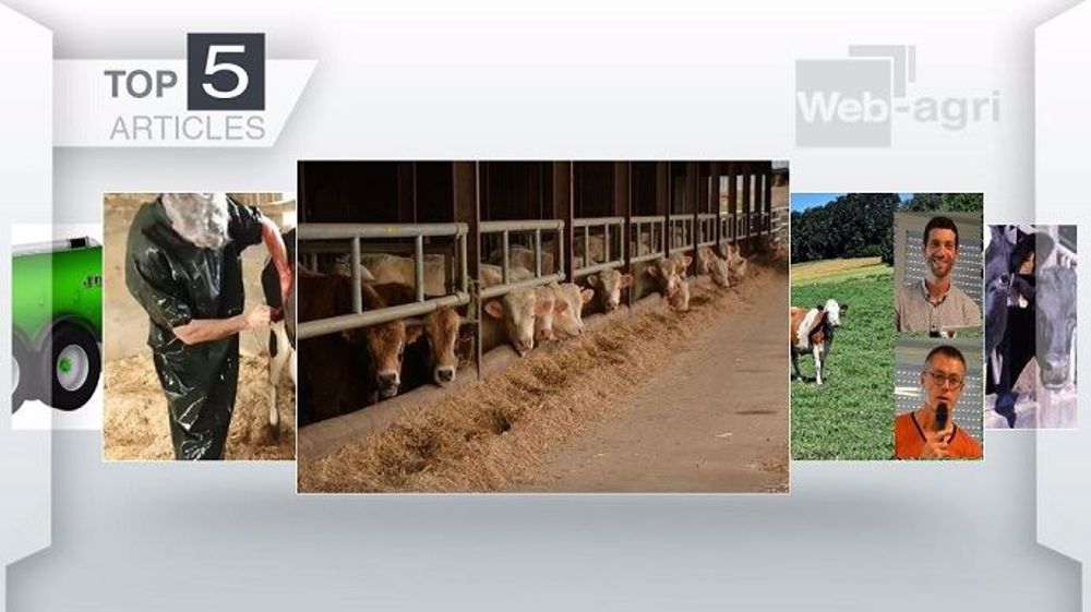 Top articles de Web-agri cette semaine. (©Terre-net Média)
