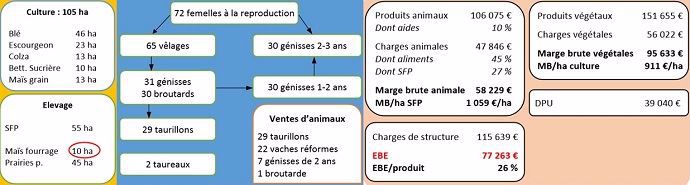 Scénario bilan système naisseur-engraisseur avec vente de taurillons