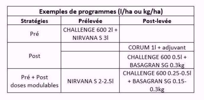 Exemples de programmes de désherbage