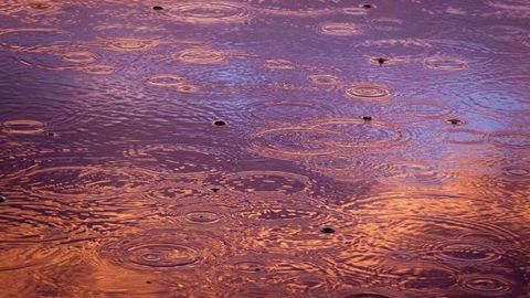 La persistance des pluies retardent les semis d'hiver et les récoltes de maïs. (©PixaBay) La persistance des pluies retardent les semis d'hiver et les récoltes de maïs. (©PixaBay)