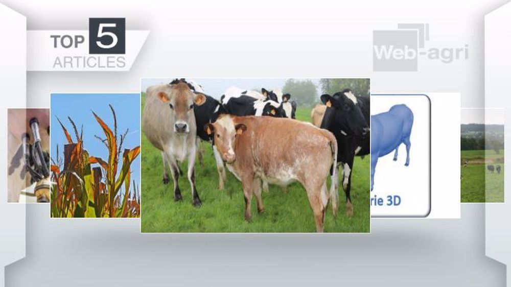 Les articles les plus lus sur Web-agri cette semaine (©Terre-net Média)