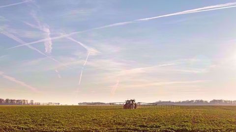 La suppression du glyphosate alourdira les charges des exploitations entre 50 et 150 euros l'hectare, selon le rapport. (©Nadège Petit@agri-zoom)