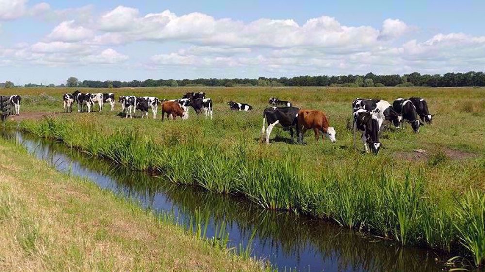 80 000 élevages herbivores ont été aidés depuis 1994 pour adapter leur gestion des effluents et de la fertilisation des cultures. (©Pixabay)