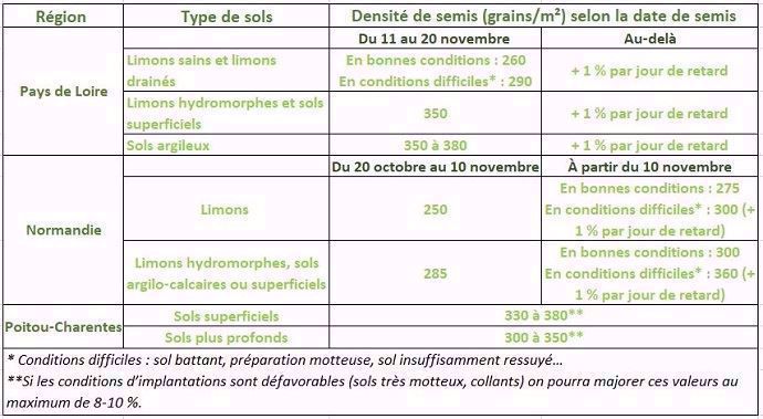 Densités de semis optimales pour des semis tardifs