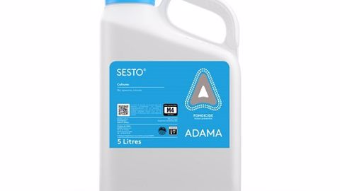Sesto®, un allié incontournable du blé