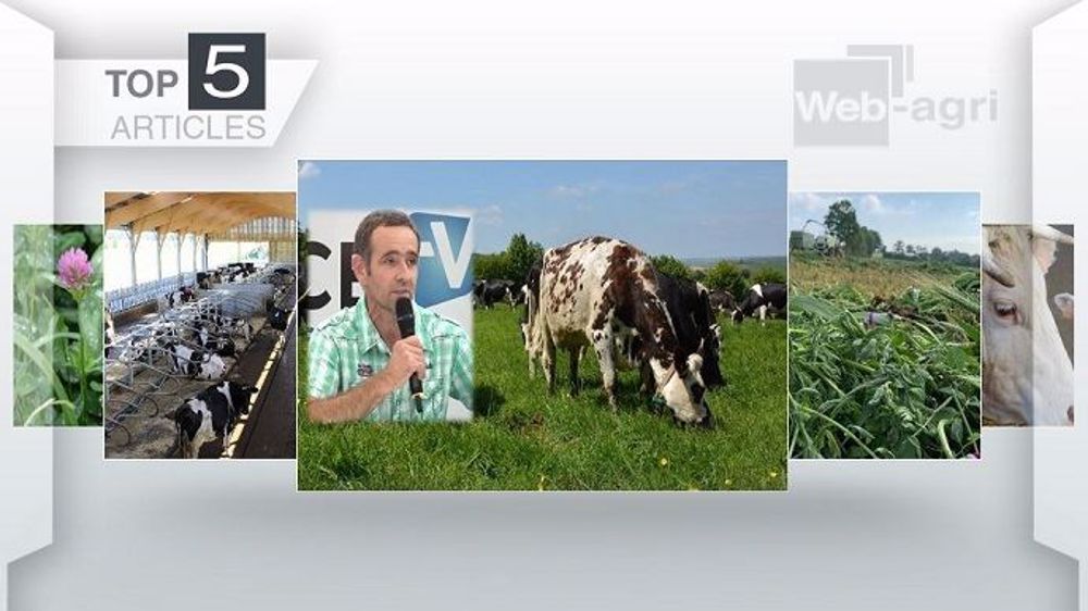 Top articles de Web-agri cette semaine. (©Terre-net Média)