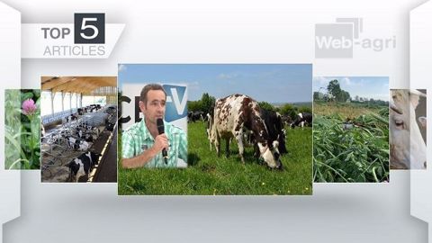 Top articles de Web-agri cette semaine. (©Terre-net Média)