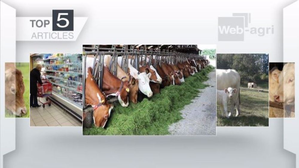 Articles les plus lus sur Web-agri cette semaine. (©Terre-net Média)