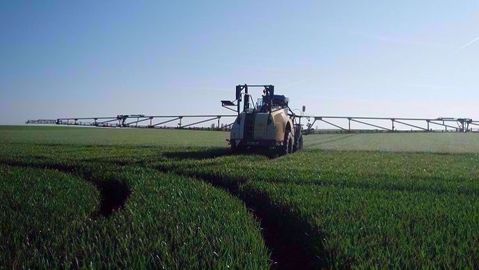 Toutes les spécialités contenant du chlorothalonil ne pourront plus être vendues, ni distribuées à partir de février 2020. Leur utilisation reste possible jusqu'au 20 mai 2020.