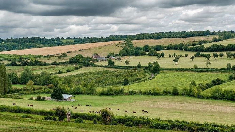 L'agriculture émet en France 16,4 % des gaz à effet de serre mais elle permet aussi de séquestrer le carbone dans ses sols. (©Pixabay)