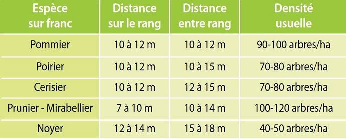 Espacement entre les arbres fruitiers pour un pré-verger