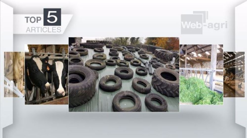 Les articles les plus lus sur Web-agri cette semaine. (©Terre-net Média)