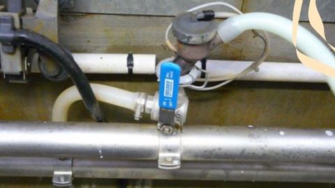 Le double lactoduc permet de trier le lait vache par vache et d'écarter facilement celui destiné aux veaux ou à jeter sans avoir à manipuler des bidons.