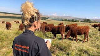 Les 5 sens des vaches : comprendre leur fonctionnement pour bien les aborder Les 5 sens des vaches : comprendre leur fonctionnement pour bien les aborder