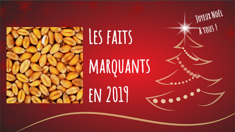 Beaucoup d'éléments ont impacté les cours du blé tout au long de l'année 2019. (©Pixabay / Création : Terre-net Média)<span style="font-size: 14px; text-align: justify; color: #000000;"> 