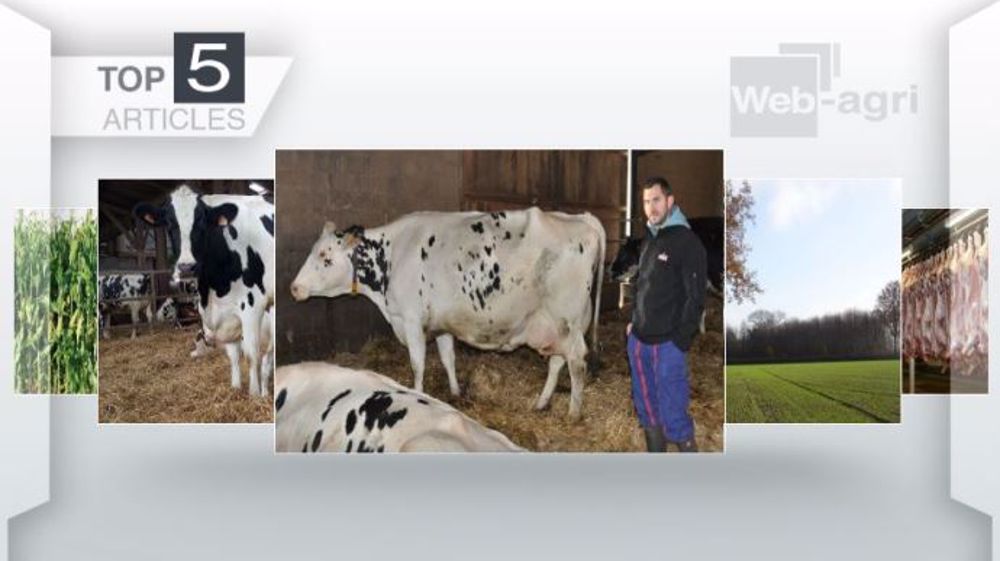 Articles les plus lus sur Web-agri cette semaine. (©Terre-net Média)