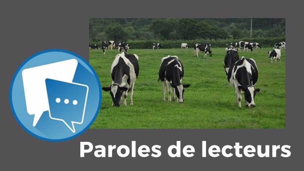  « Par rapport à l'année dernière, les charges ont encore augmenté », déplore steph72. (©Terre-net Média)