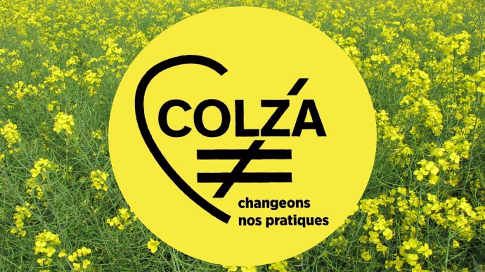 Le top 5 2019 des articles Colza différent. (©TNC)