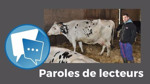 « Si c'est vrai, neuf personnes sur 60 ha et 467 000 l de lait, c'est beau ! », s'exclame Fabien53. (©Terre-net Média) « Si c'est vrai, neuf personnes sur 60 ha et 467 000 l de lait, c'est beau ! », s'exclame Fabien53. (©Terre-net Média)