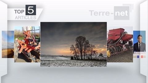Top articles de Terre-net cette semaine.