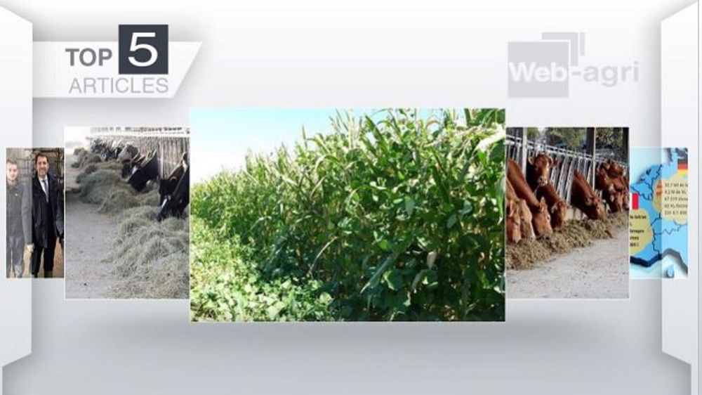 Articles les plus cette semaine sur Web-agri. (©Terre-net Média)