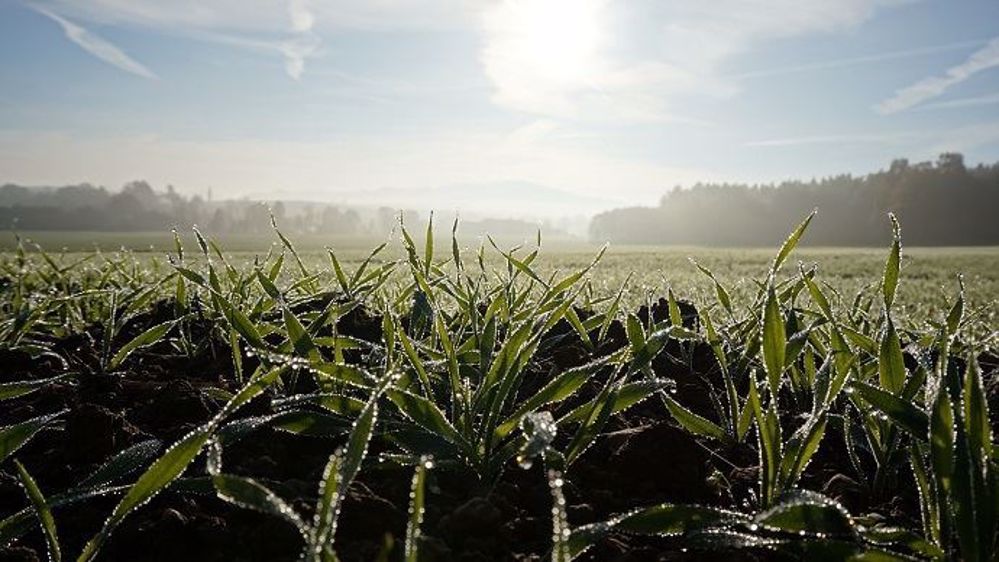 La pluie sera-t-elle encore au rendez-vous en février et mars 2020 ?