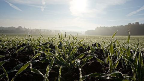 La pluie sera-t-elle encore au rendez-vous en février et mars 2020 ? La pluie sera-t-elle encore au rendez-vous en février et mars 2020 ?