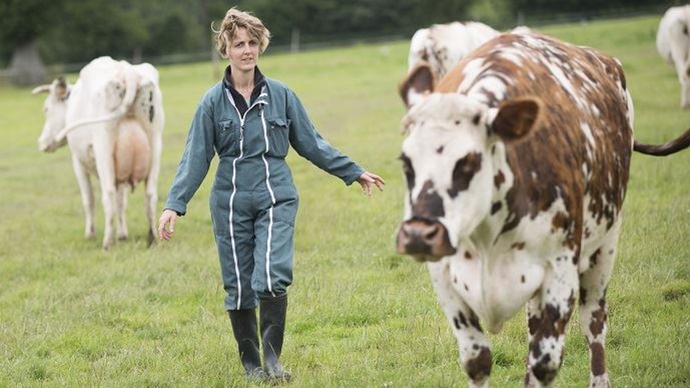 France Carbon Agri Association agrégera les projets d'éleveurs et les accompagnera dans leur mise en place. (©Cniel)