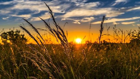 L'Europe profite d'un climat doux et plus sec. L'Europe profite d'un climat doux et plus sec.