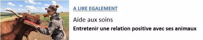 entretenir une relation