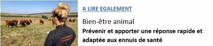 article bien-être animal