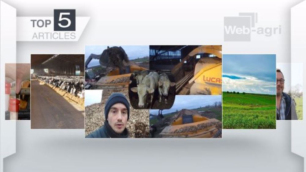 Les cinq articles les plus lus de la semaine sur Web-agri. (©Terre-net Média)