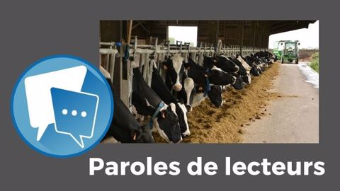« Une mélangeuse est coûteuse à l'achat, c'est certain, mais tu peux mettre n’importe quoi dedans, les vaches le mangeront. Et en 25 minutes une fois par jour, le boulot est plié ! », reconnaît Nicolas Hautot. (©Terre-net Média) « Une mélangeuse est coûteuse à l'achat, c'est certain, mais tu peux mettre n’importe quoi dedans, les vaches le mangeront. Et en 25 minutes une fois par jour, le boulot est plié ! », reconnaît Nicolas Hautot. (©Terre-net Média)