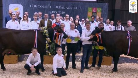 C'est une vache en 1ère lactation : Myrtille (Chocolat x Leopold) de l'élevage Cuvillier dans le Pas-de-Calais, qui remporte le concours de la race Rouge flamande au Sia 2020. (©Sia/CGA) C'est une vache en 1ère lactation : Myrtille (Chocolat x Leopold) de l'élevage Cuvillier dans le Pas-de-Calais, qui remporte le concours de la race Rouge flamande au Sia 2020. (©Sia/CGA)