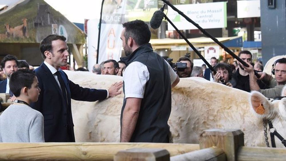Emmanuel Macron, avec l'éleveur propriétaire de la vache charolaise Idéale, égérie de l'édition 2020 du Salon de l'agriculture. (©Terre-net Média)