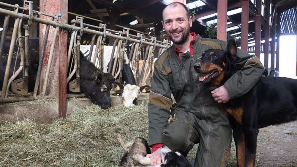 12 UMO, 400 000 l de lait transformé et bientôt un congé de 10 mois à l'étranger 12 UMO, 400 000 l de lait transformé et bientôt un congé de 10 mois à l'étranger