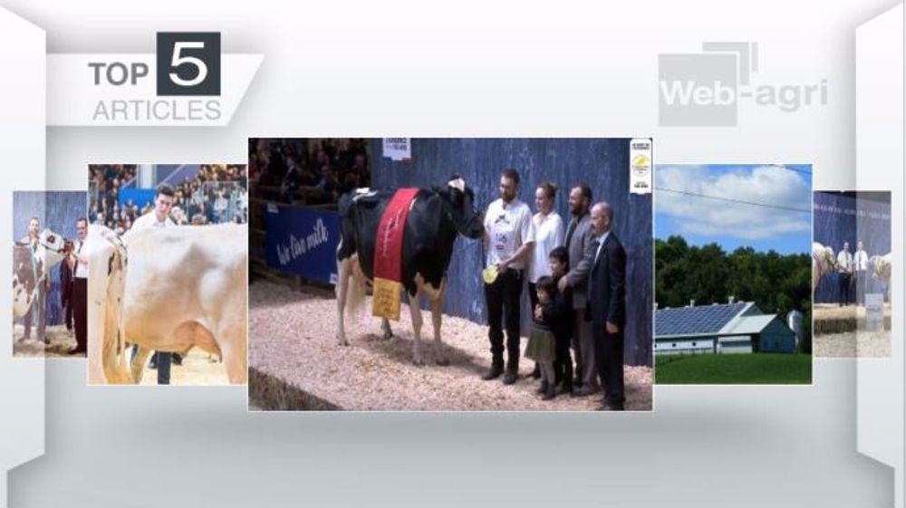 Articles les plus lus sur Web-agri cette semaine. (©Terre-net Média)