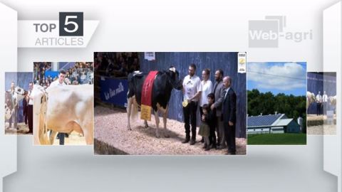 Articles les plus lus sur Web-agri cette semaine. (©Terre-net Média)