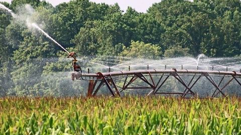 Les chercheurs étudient notamment l'irrigation du maïs en période de restriction d'eau. (©Pixabay) Les chercheurs étudient notamment l'irrigation du maïs en période de restriction d'eau. (©Pixabay)