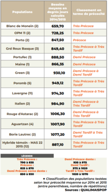 Classification du maïs