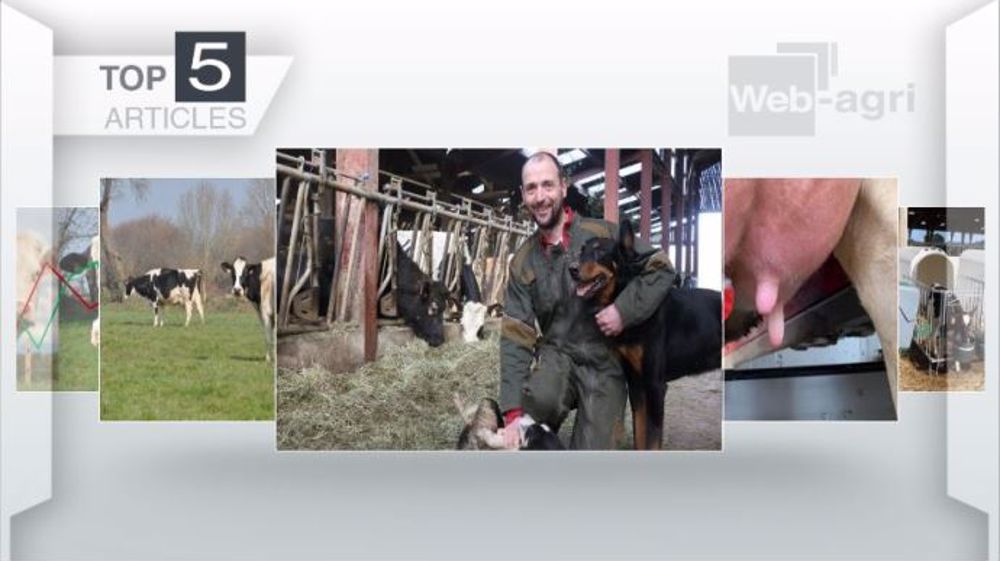 Articles les plus lus sur Web-agri cette semaine. (©Terre-net Média)