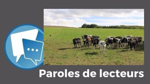« N’oubliez pas que les prairies contribuent au stockage du carbone », rappelle Patrice Brachet. (©Terre-net Média) « N’oubliez pas que les prairies contribuent au stockage du carbone », rappelle Patrice Brachet. (©Terre-net Média)