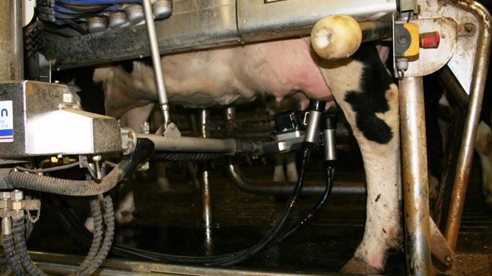 Les éleveurs produisent habituellement 3,3 % de lait en plus en avril par rapport aux autres mois. (©Terre-net Média)