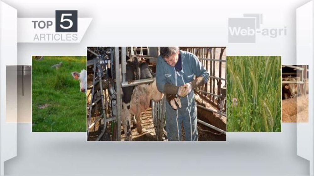 Articles les plus lus sur Web-agri cette semaine. (©Terre-net Média)