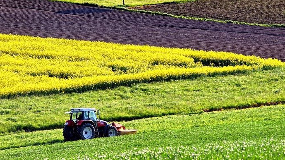 Début 2020, les éleveurs avaient déjà indiquer vouloir réduire leurs investissements 2020 par rapport à 2019. La pandémie de Covid-19 ne semble pas amplifier cette prudence. (©Pixabay) Début 2020, les éleveurs avaient déjà indiquer vouloir réduire leurs investissements 2020 par rapport à 2019. La pandémie de Covid-19 ne semble pas amplifier cette prudence. (©Pixabay)