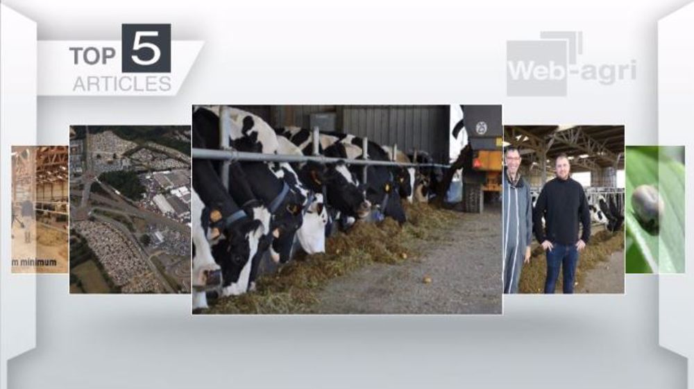 Articles les plus lus sur Web-agri cette semaine. (©Terre-net Média)