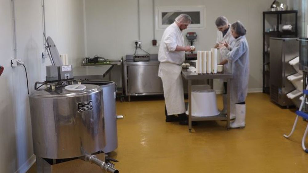 Les producteurs laitiers fermiers enregistrent d'importantes pertes à cause du covid-19. « Beaucoup d'exploitants seront privés de revenus et certaines structures sont en péril », alerte l'ANPLF. (©Terre-net Média)